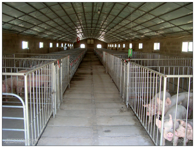 2008年自筹资金建立了第一座养殖园区,该园区拥有标准化砖瓦结构猪舍