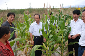 省農牧廳楊祁峰副廳長赴慶陽督導秋糧生產和察看農業受災情況