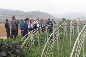 省经作站组织开展蔬菜专业技术人员观摩交流活动