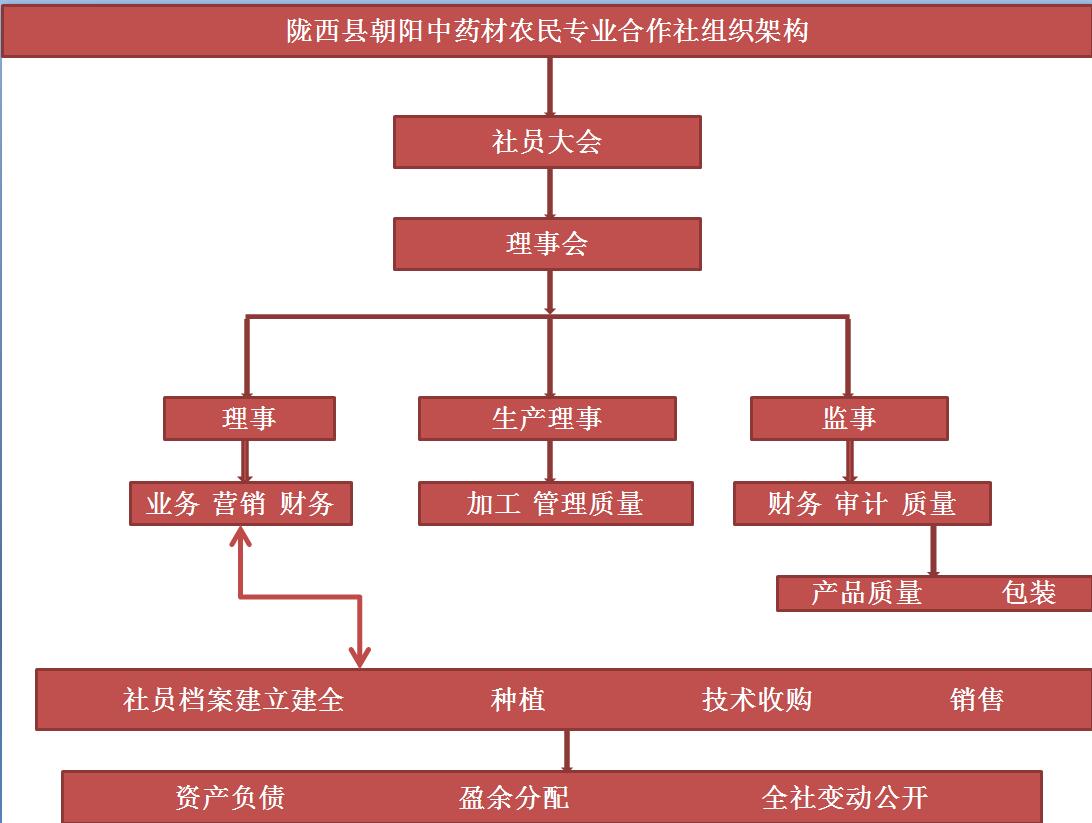 陇西县朝阳中药材农民专业合作社